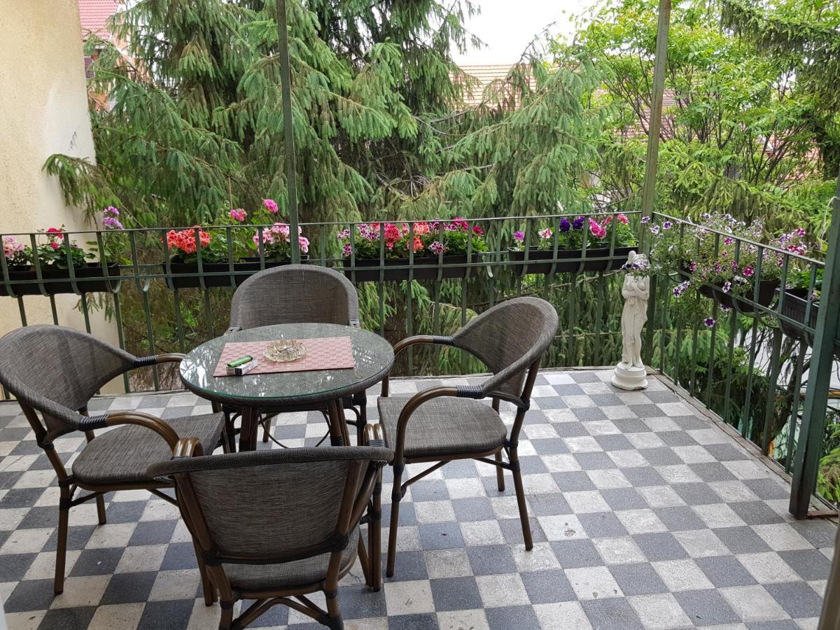 City Center Dream Apartment 티미쇼아라 외부 사진