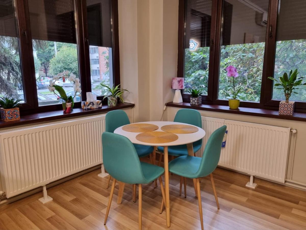 City Center Dream Apartment 티미쇼아라 외부 사진