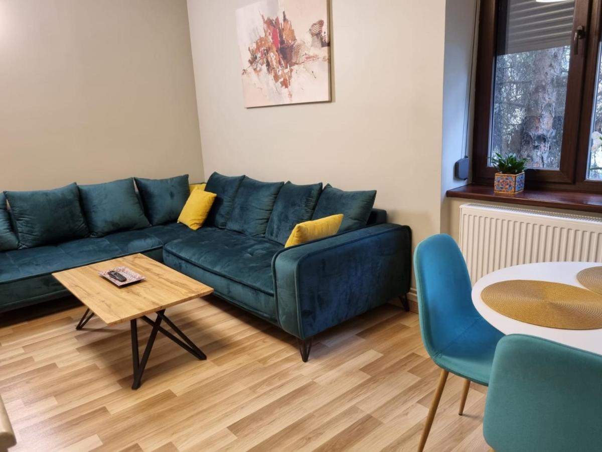 City Center Dream Apartment 티미쇼아라 외부 사진
