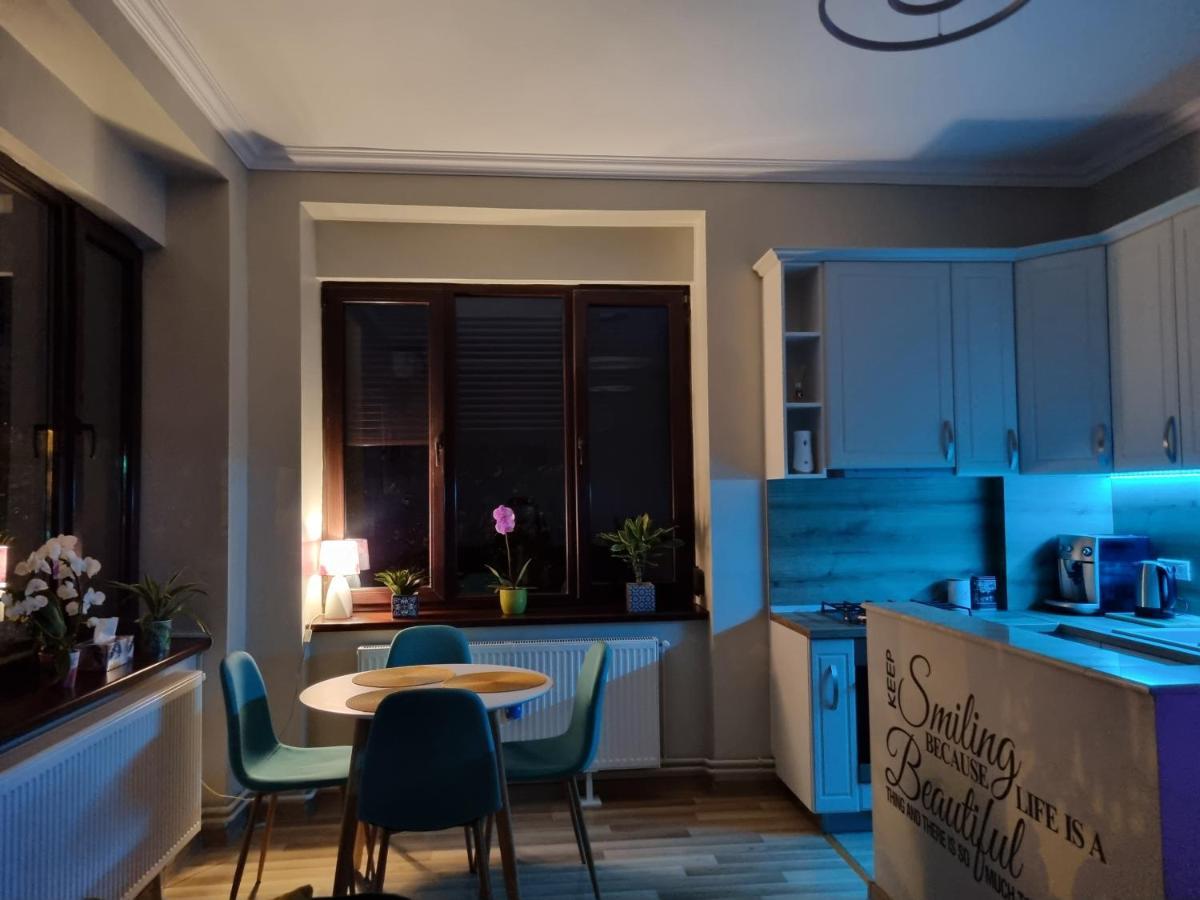 City Center Dream Apartment 티미쇼아라 외부 사진