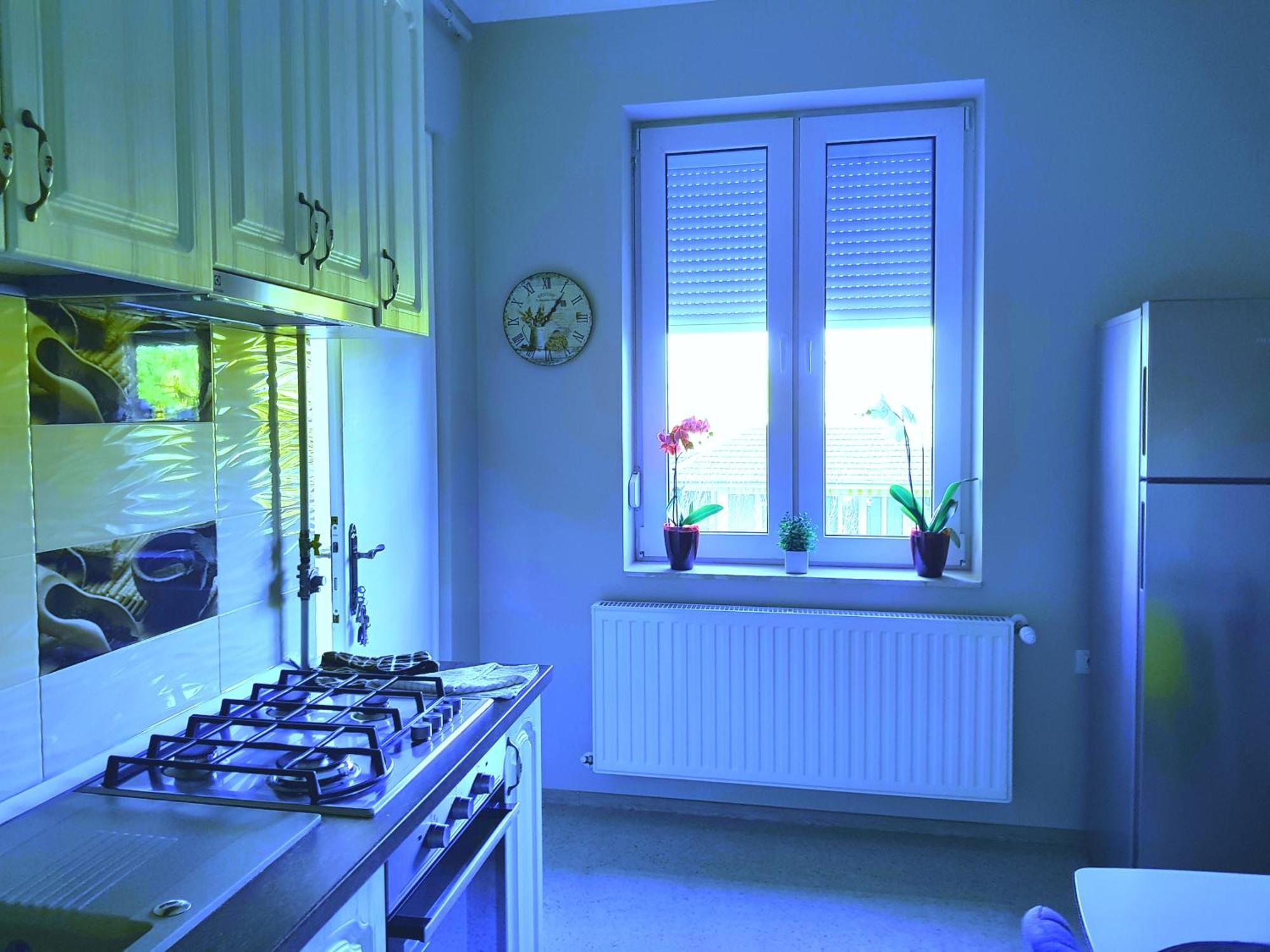 City Center Dream Apartment 티미쇼아라 외부 사진